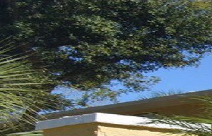 Jasmine Homes Apartments Apartments In Lakeland Fl